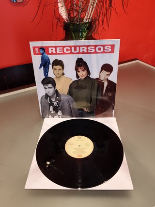 Disco de Vinilo Sin Recursos