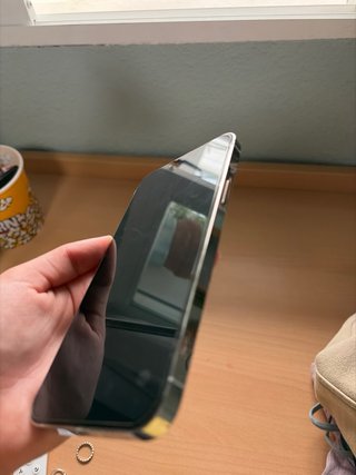 iPhone 13 Pro Max Argento