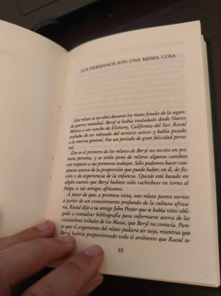 El magnífico proscrito