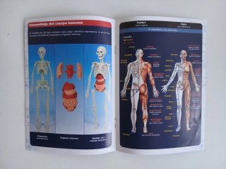 El Cuerpo Humano: Juego Educativo
