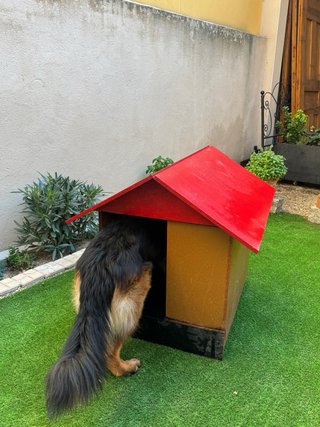 Caseta Perro Madera Pequeño/Mediano