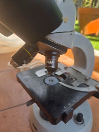 Microscopio Binocular Vintage Carl Zeiss