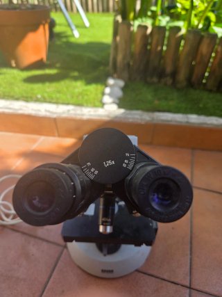 Microscopio Binocular Vintage Carl Zeiss