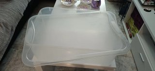 Caja Plástico Almacenaje Transparente
