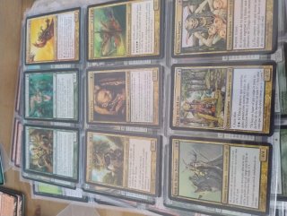 Lote Cartas Magic The Gathering Lorwyn