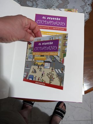 Lote de libros para la educación infantiles.