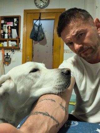 Cuidador de perros