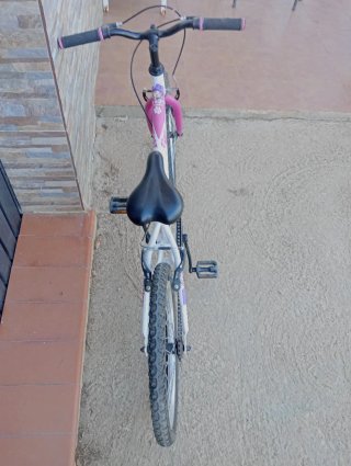 Bicicleta infantil 20 blanca y rosa