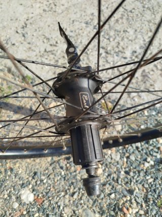 Rueda Trasera 26
