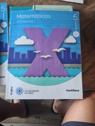 Libros matemáticas 5 primaria