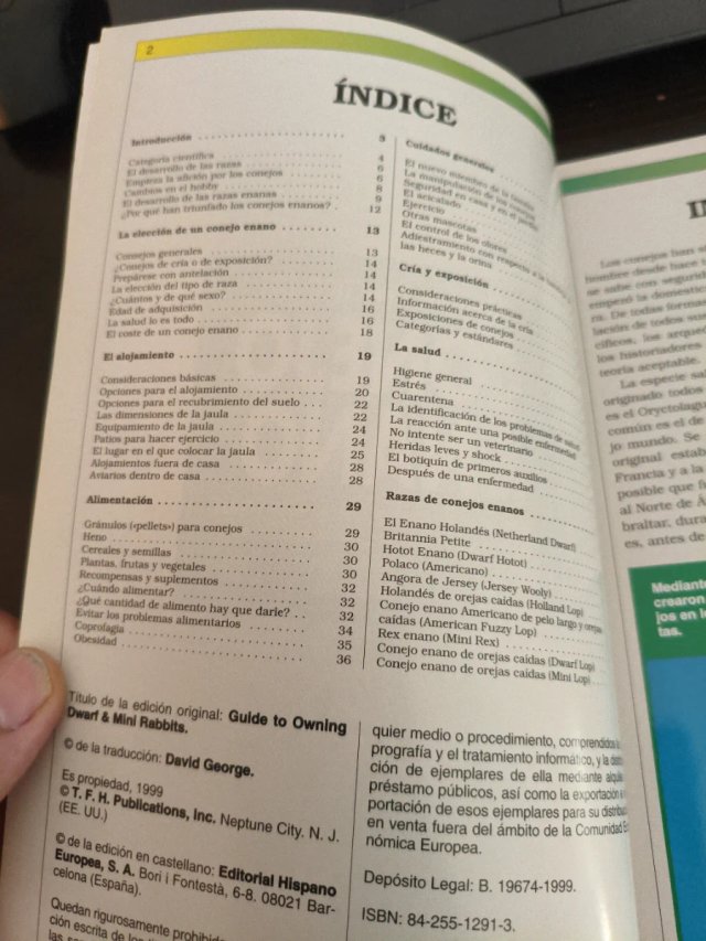 Manual práctico del conejo enano
