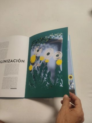 El Cielo