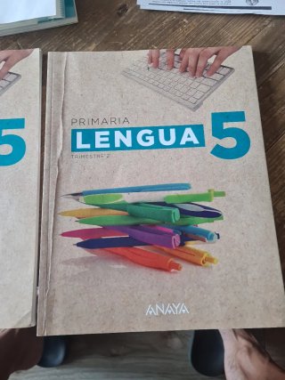 Libros de lengua 5 de primaria