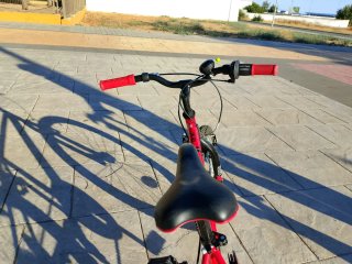 Bicicleta per bambini da 20 pollici