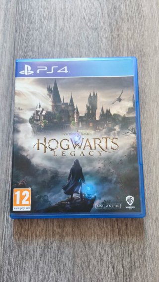 Hogwarts Legacy PS4 (PlayStation 4)