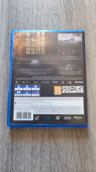 Hogwarts Legacy PS4 (PlayStation 4)