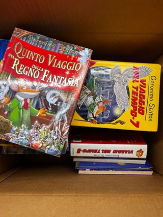 Lotto di 21 libri Geronimo Stilton