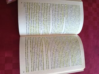 Libro. La diagnosi psicologica in età evolutiva.