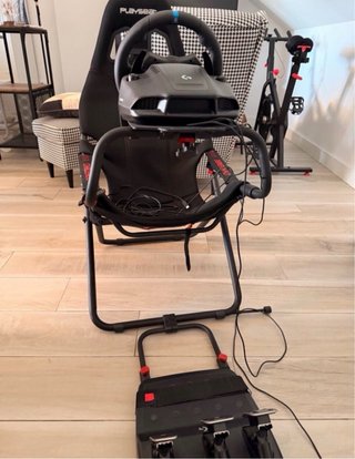 Playseat Challenge + Volante Logitech G923