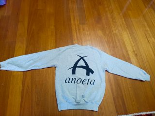Sudadera Anoeta gris