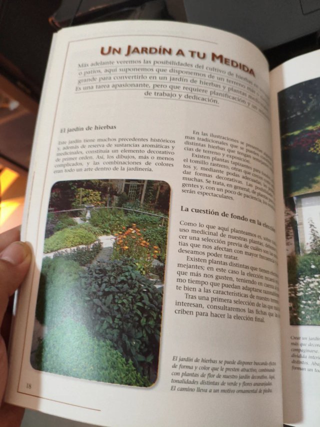 Cultiva tus propias hierbas y plantas medicinales