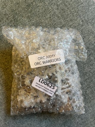 20 Guerreros Orcos Warhammer