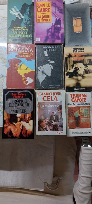 Lote 25 libros bolsillo. 10 € todos