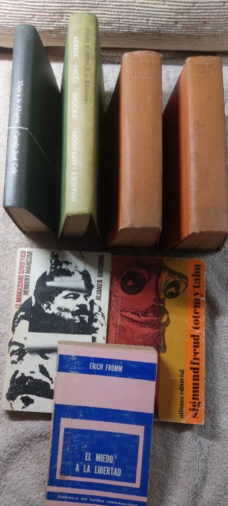 Lote 25 libros bolsillo. 10 € todos