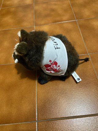 Peluche Cinghiale Firenze