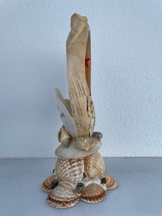 Conchiglie decorative della Vergine del Carmen