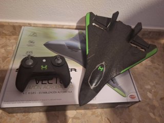 Avión teledirigido Vector Bizar