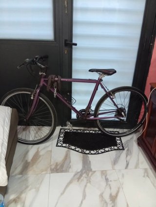 Bicicleta Morada