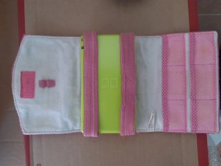 Nintendo DS