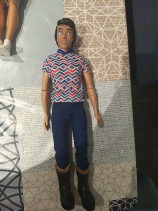 Bambole LOL Surprise Disney Princes Ken Sirens