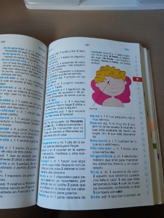 Maxi diccionario ilustrado español Primaria