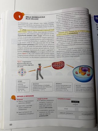 Libro "Scopriamo La Biologia" Seconda Ed.