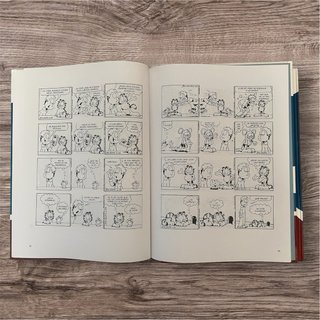 Pack 2 Cómics Garfield y Charlie Brown (Snoopy)