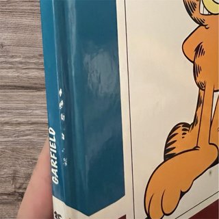Pack 2 Cómics Garfield y Charlie Brown (Snoopy)