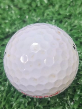 Koeman Cup Bola Golf