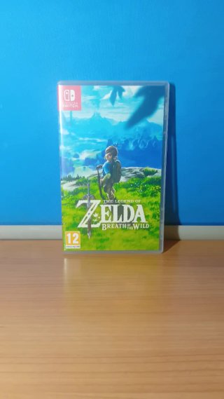 Zelda Breath of the Wild Nintendo Switch