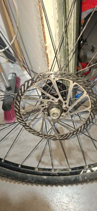 Rueda trasera Ghost 29 Maxxis IKON