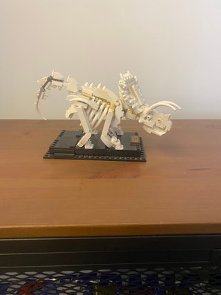 LEGO 21320: Fósiles de Dinosaurios