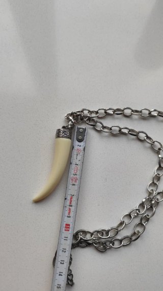 Colgante Diente Beige y Cadena Plateada