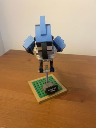 LEGO 21301: Pájaros (sólo Blue Jay)