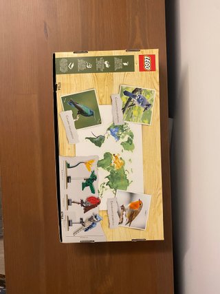 LEGO 21301: Pájaros (sólo Blue Jay)
