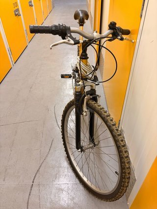 Bicicleta BH Montaña Dorada