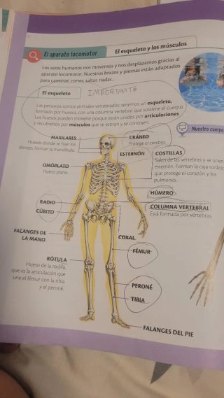 Ciencias de la naturaleza 3, Primaria, De otra ...