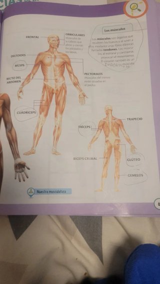 Ciencias de la naturaleza 3, Primaria, De otra ...