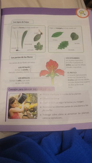 Ciencias de la naturaleza 3, Primaria, De otra ...