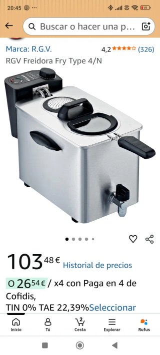 Freidora Profesional RGV Type 4